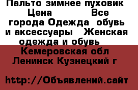 Пальто зимнее пуховик › Цена ­ 2 500 - Все города Одежда, обувь и аксессуары » Женская одежда и обувь   . Кемеровская обл.,Ленинск-Кузнецкий г.